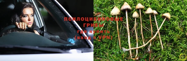 mdpv Алзамай