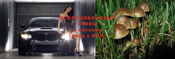каннабис Алексеевка